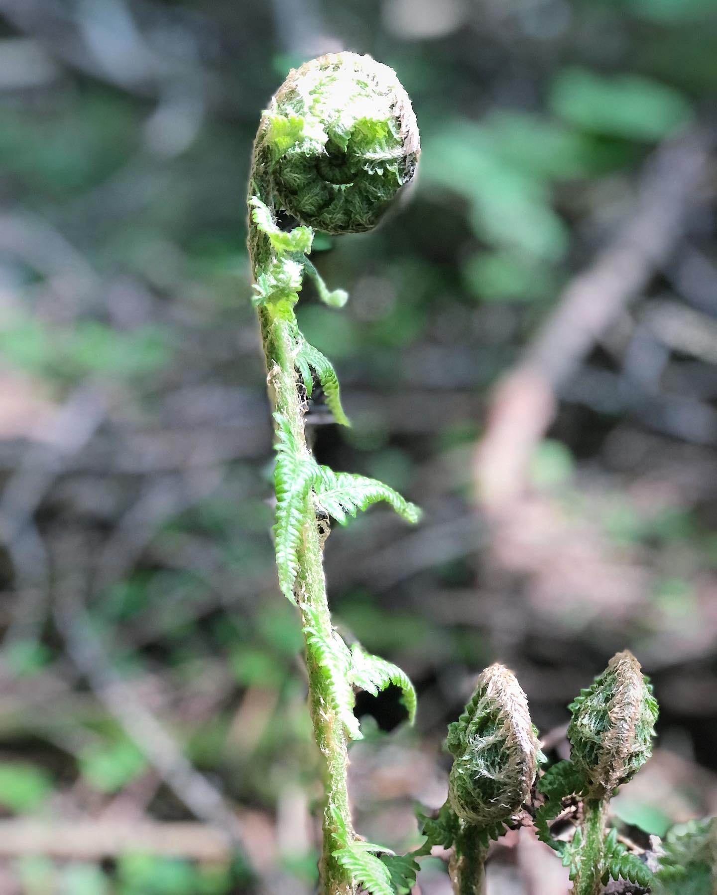 Foto Alexander Eiterer