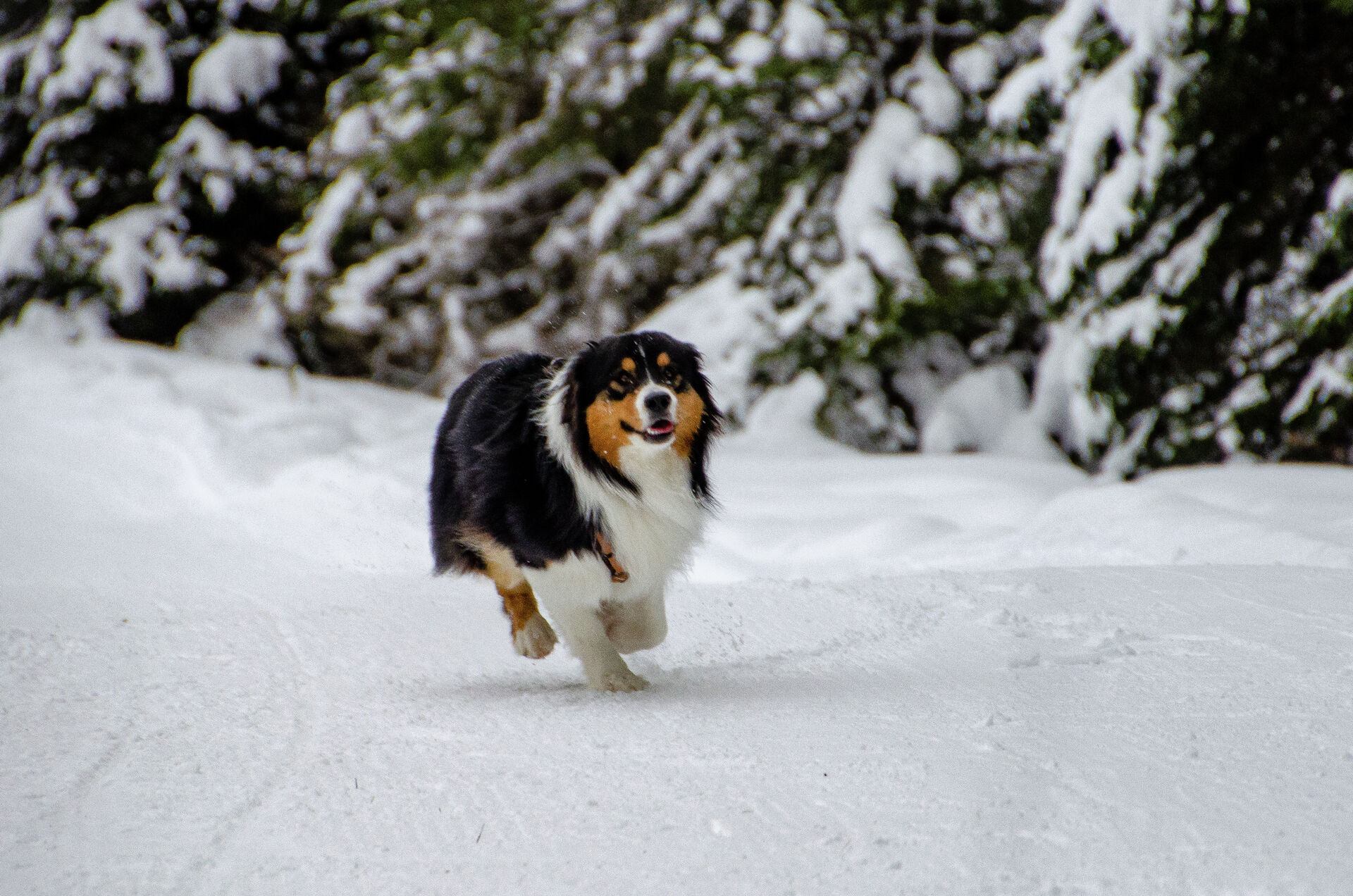 Foto Alexander Eiterer