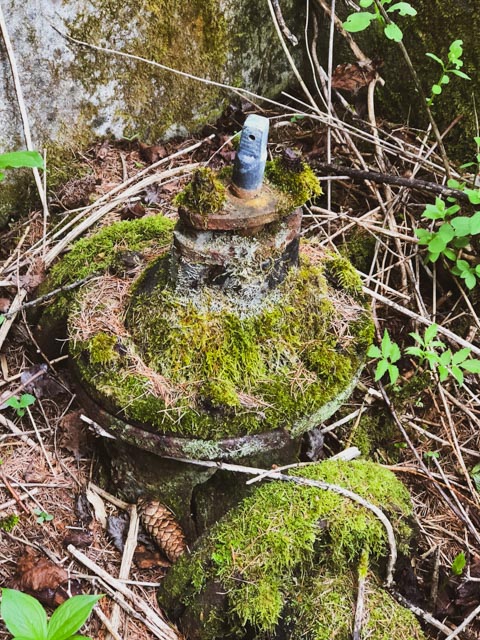 Foto Alexander Eiterer