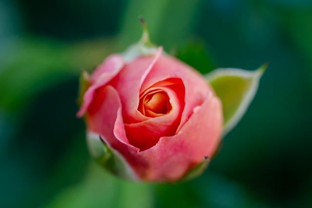 Foto Alexander Eiterer